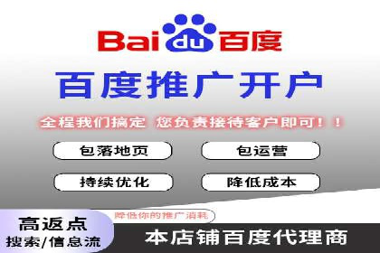 某电商平台的SEM关键词策略及成效分析